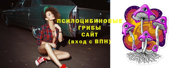 стафф Каменск-Шахтинский
