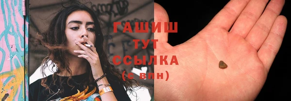 дмт Каменногорск