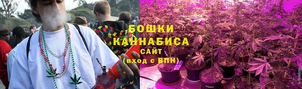 стафф Каменск-Шахтинский