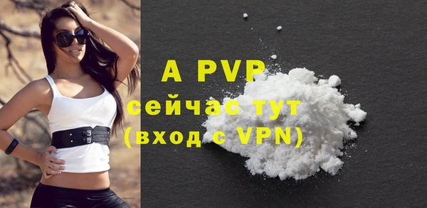 a pvp Каменка