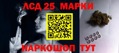 гашик Берёзовский