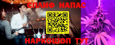 гашик Берёзовский