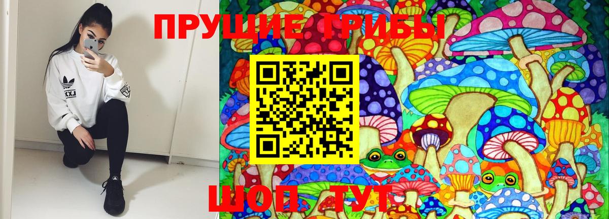 Псилоцибиновые грибы ЛСД Дзержинск