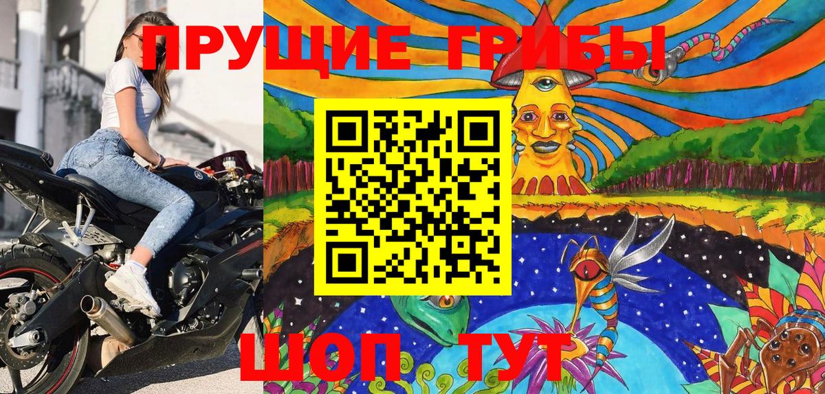 Псилоцибиновые грибы Psilocybine cubensis  Вход с VPN  Дзержинск 