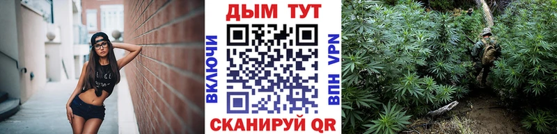 дарнет шоп  Дзержинск  Конопля планчик 